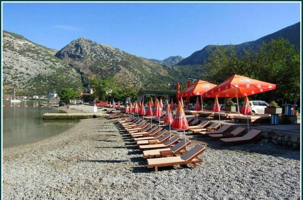 Pavle Apartmani Risan Bagian luar foto